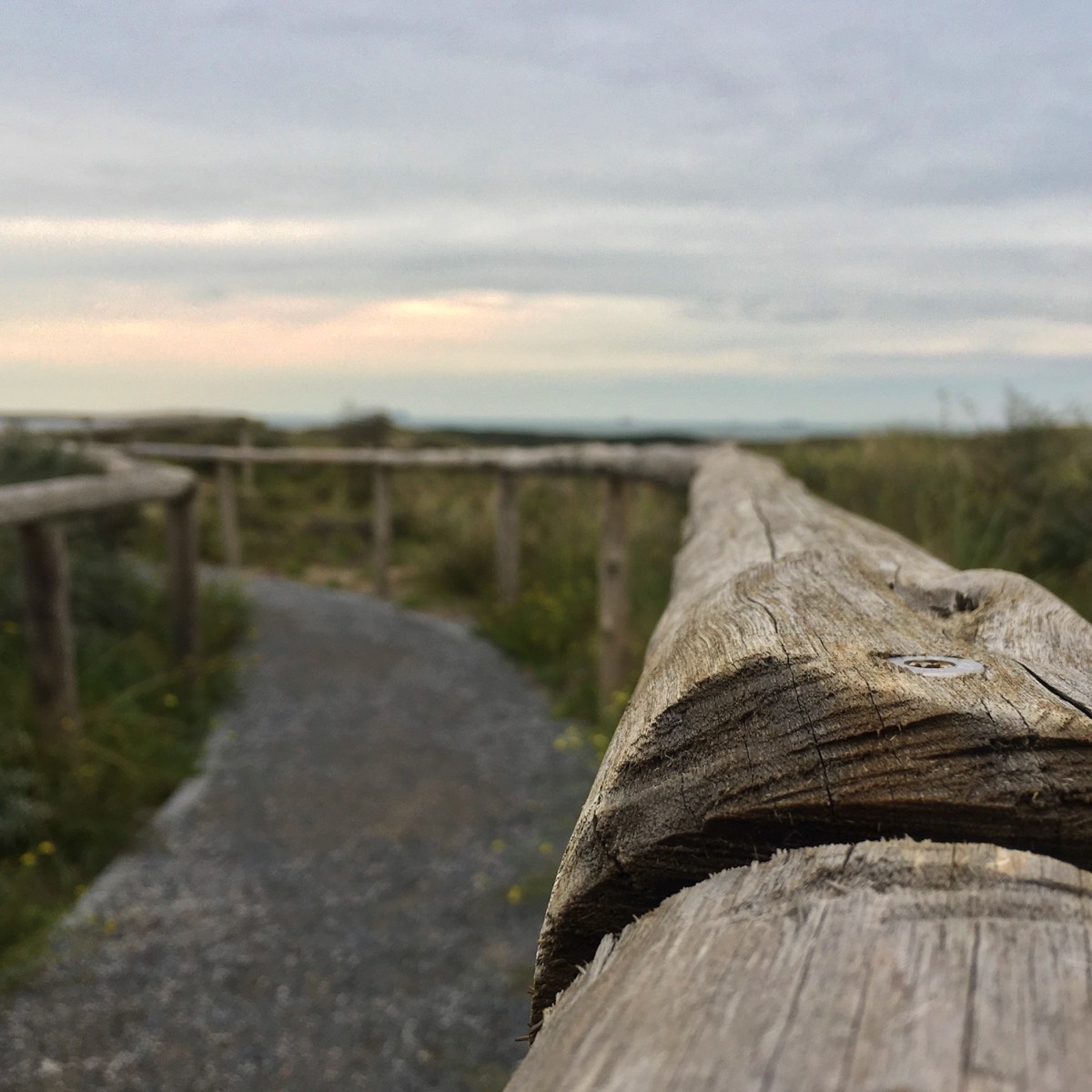 Stacks Image 744